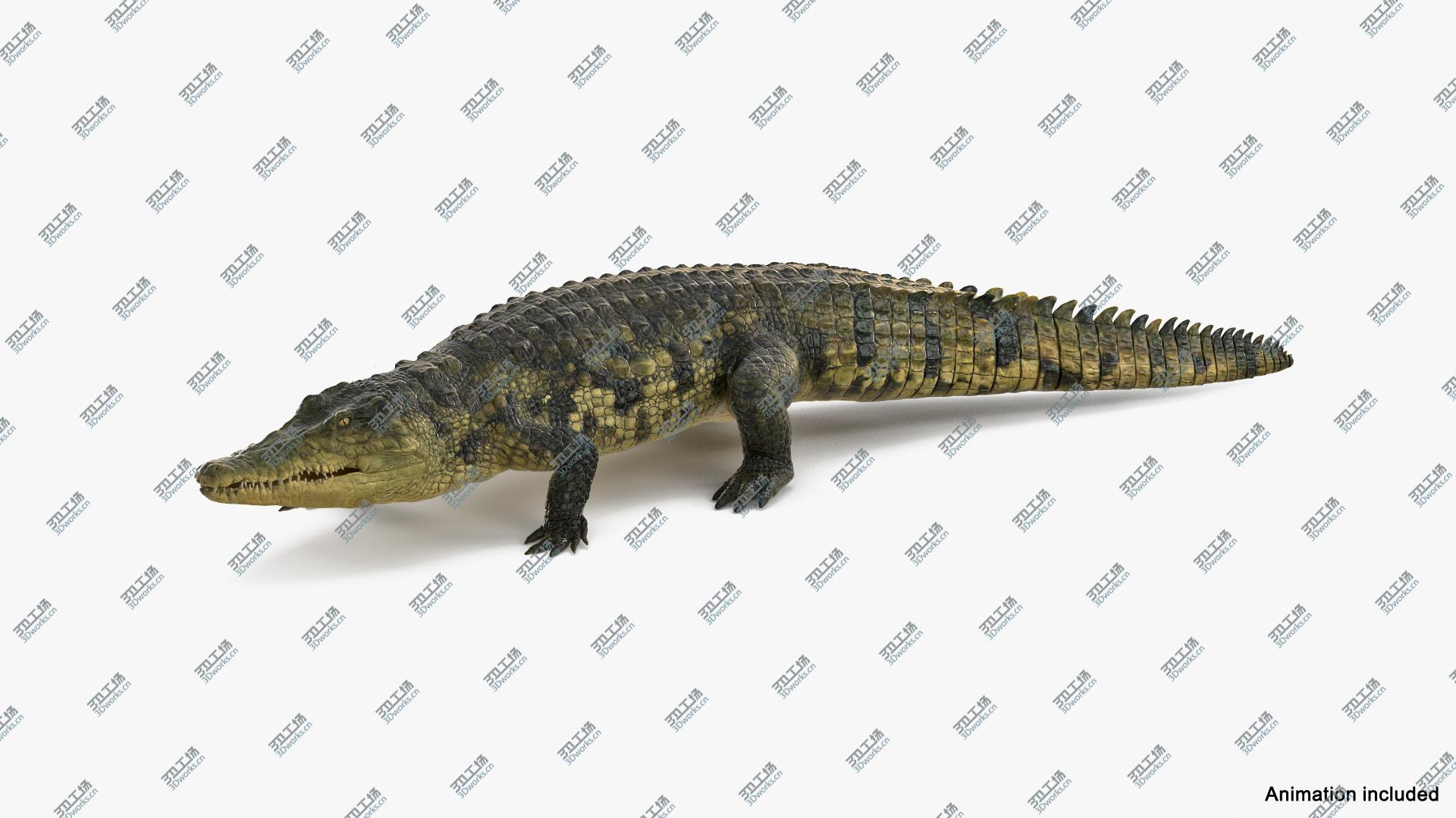 images/goods_img/2021040231/Animated Crocodile Walking Rigged 3D model/3.jpg